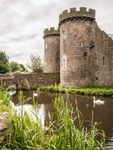 Wittington Castle