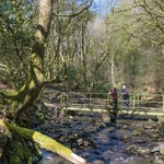 Ashworth Valley