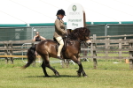 SBM_06819