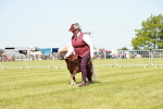 SBM_02002