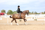 SBM_03403