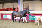 SBM_14679