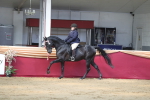 SBM_02950