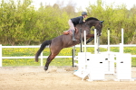 SBM_002646