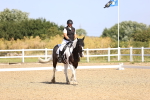 SBM_009229
