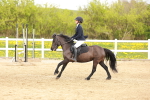SBM_004013