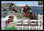 douglas  clarius montage