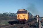 28th Jan 1984
