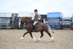 SBM_006383