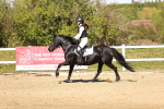 SBM_003104