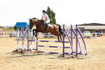SBM_003034