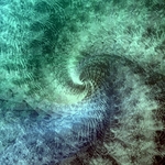 Inside the Wave