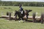 BVHT 140517  IXC -671