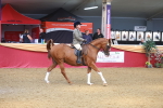 SBM_10582