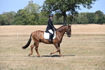 WJ6_8775