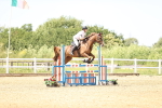 SBM_004503