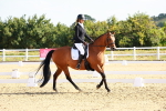 SBM_008363