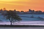 z1327 Brading Marshes