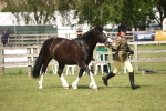 SBM_09231
