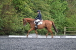 WJ7_7861