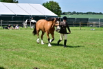 SBM_08074