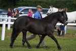 DSC05665
