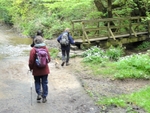 044 Approaching  the footbridge at Mill beck