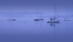 Dead Calm
