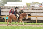 S63 Show Pony & Show Hunter Pony Ridden portfolio