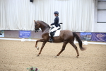 SBM_003949