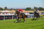 220926-Race 5-Go Victor-4365