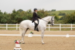 SBM_009295