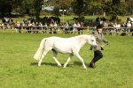 SBM_62768