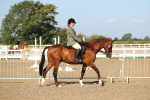 SBM_02176