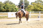 SBM_009392