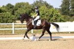 SBM_006766