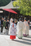 Japan-57