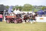 SBM_06983