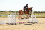 SBM_006667
