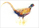 Pheasant limited edition print 337