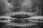 Footbridge Reflections