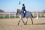 SBM_004235