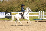 Show Jumping - 19-4-26 portfolio