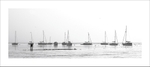 Boats at Wells