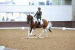 SBM_001231