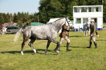 SBM_20021