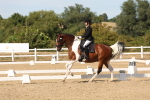 SBM_003869