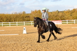 SBM_003291