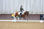 SBM_000484