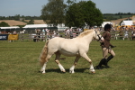 SBM_06972